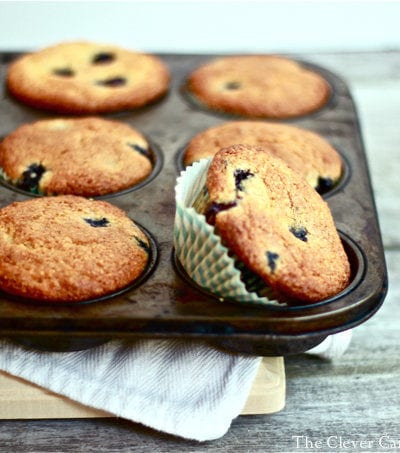 blueberry muffin tin