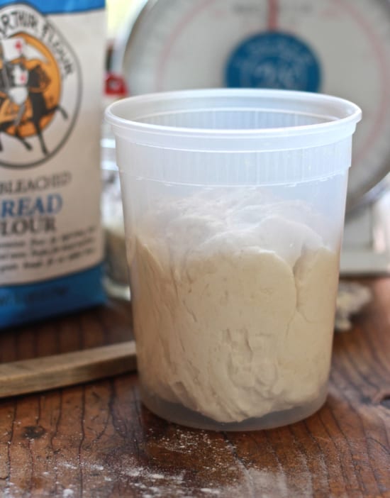 Plastic quart container with a ball of bread dough inside