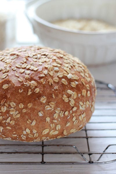 No-Knead Honey Whole Wheat Bread - theclevercarrot.com