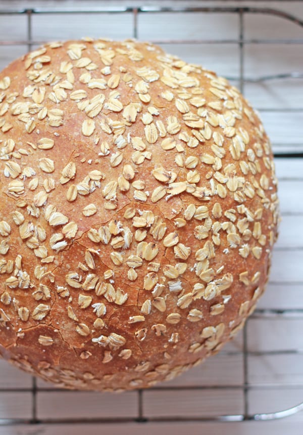 no-knead honey whole wheat bread | The Clever Carrot