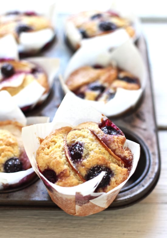 blueberry apple cupcakes | The Clever Carrot