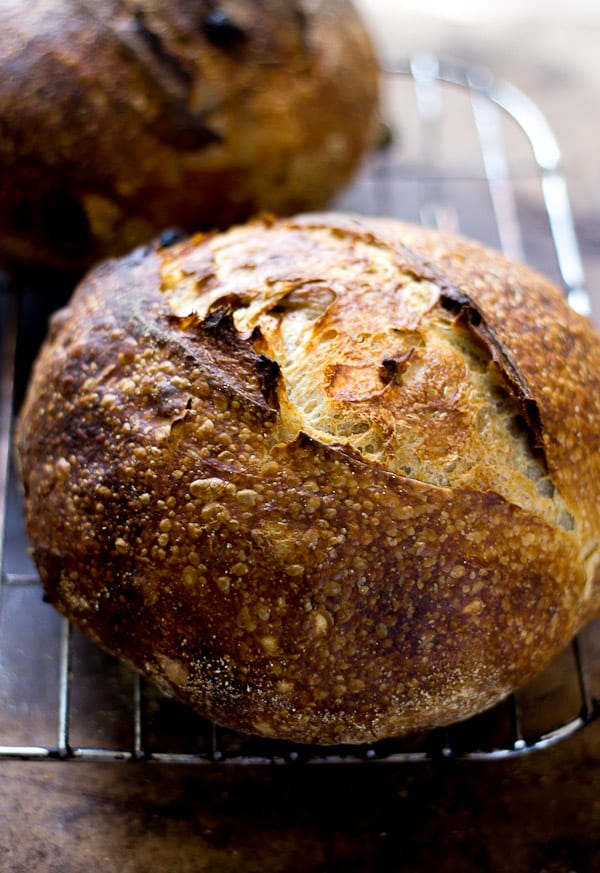 The most delicious country sourdough with walnuts + raisins | theclevercarrot.com #sourdough #sourdoughbread #raisinbread #noyeast #sourdoughstarter #breadbaking