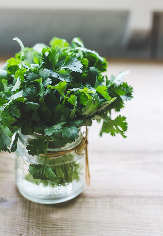 how to store cilantro | The Clever Carrot