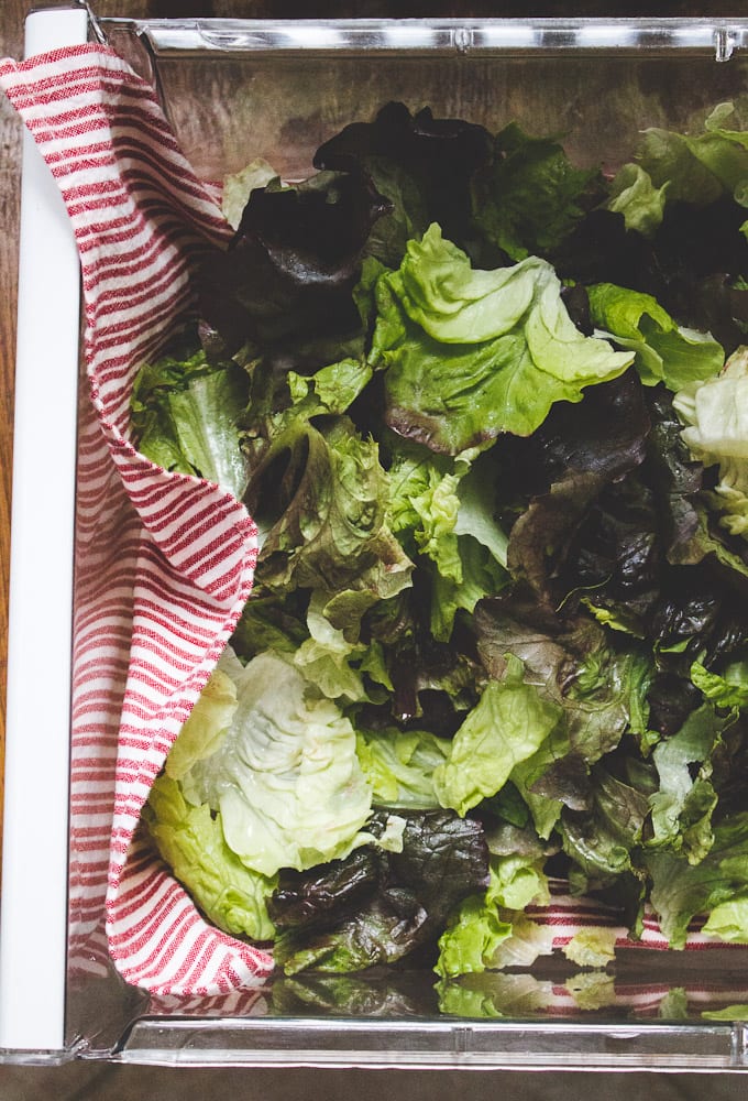 how to store salad in the fridge | The Clever Carrot