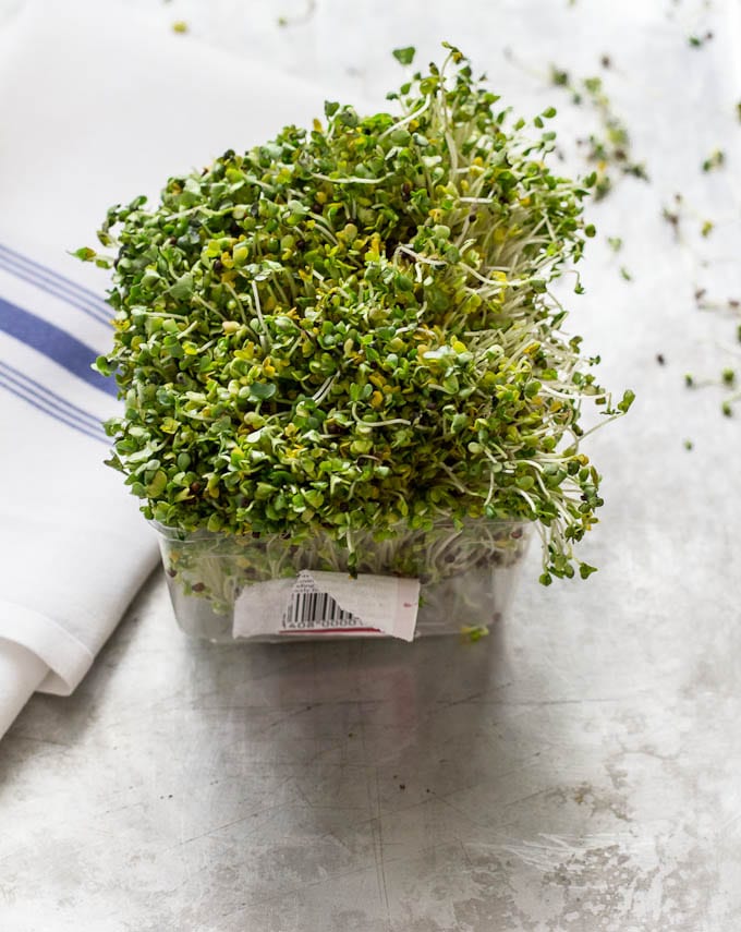 broccoli sprouts | theclevercarrot.com