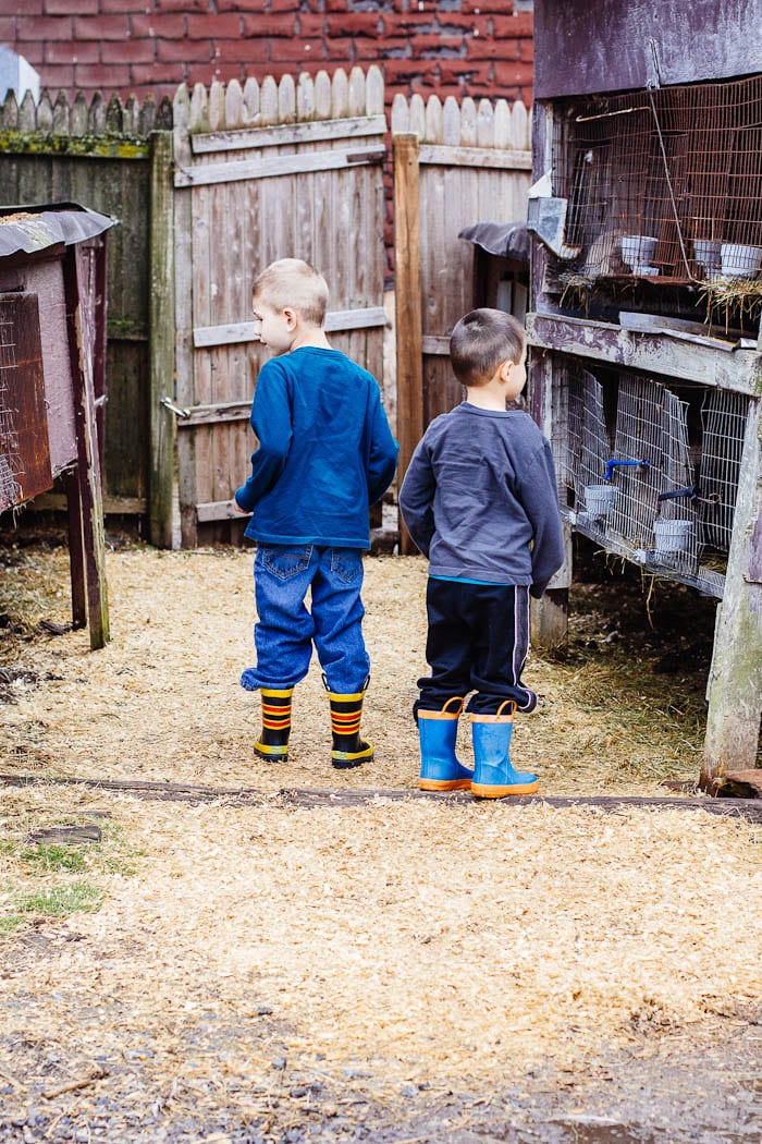 roast chicken dinner & a trip to the farm | theclevercarrot.com