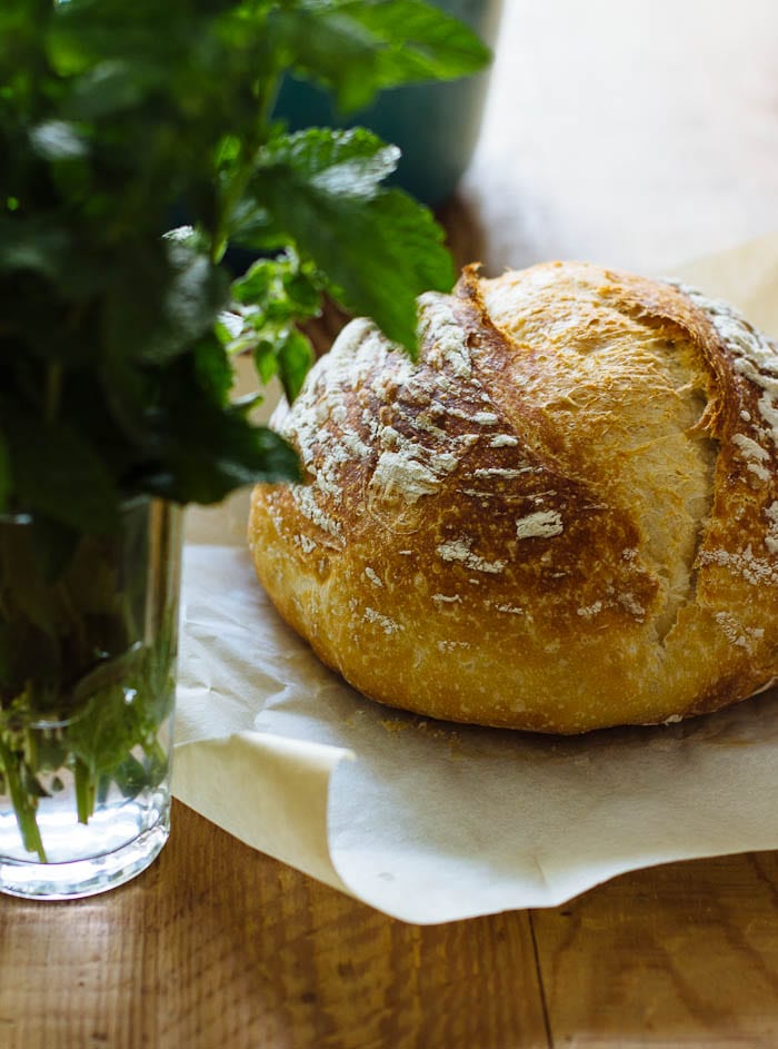 homemade sourdough bread | theclevercarrot.com