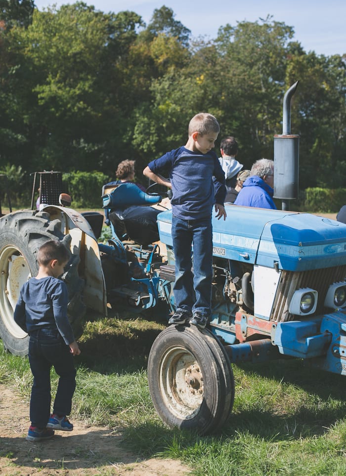 a farm tour + butternut squash risotto. | theclevercarrot.com