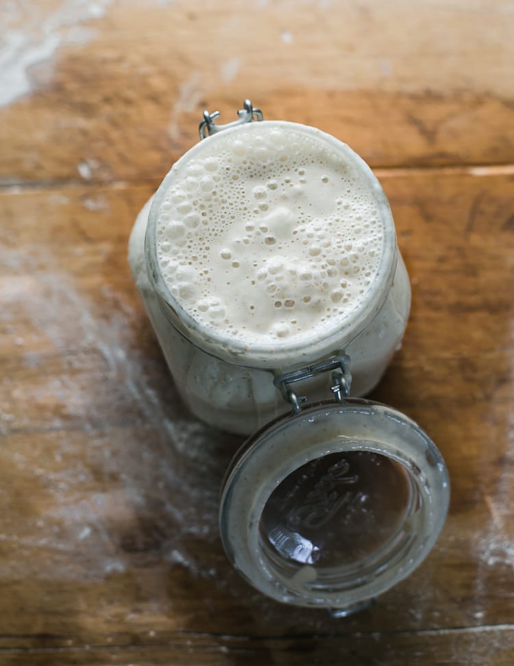 Homemade Sourdough Starter | theclevercarrot.com