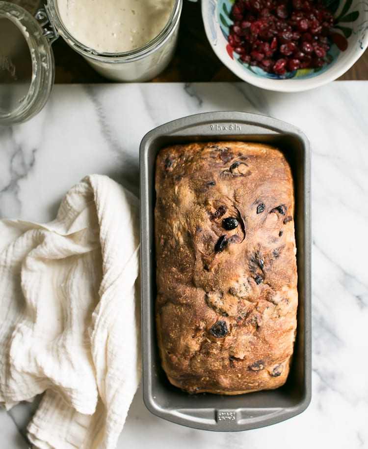 Overnight Cranberry Pecan Sourdough Loaf | theclevercarrot.com