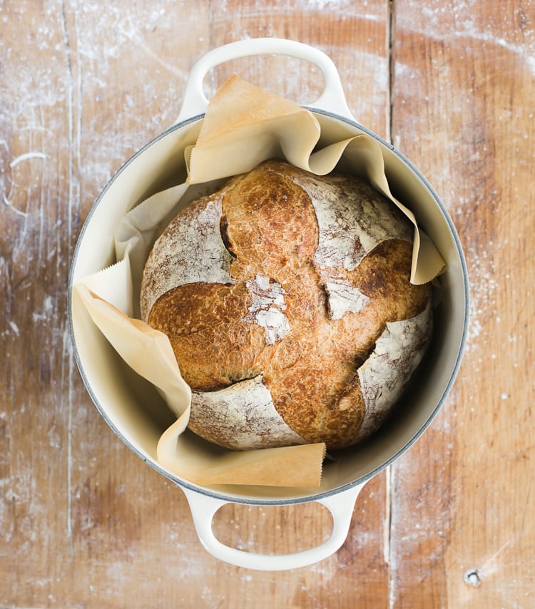 Why won't my sourdough rise? {and what you can do to fix it} | theclevercarrot.com