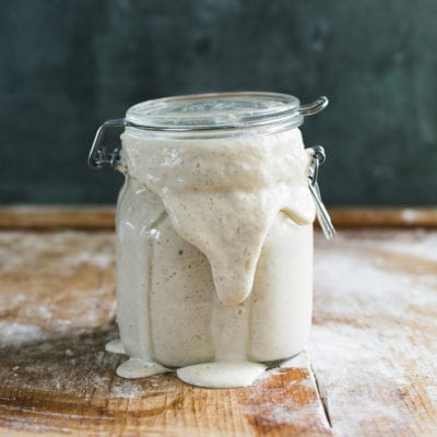 Troubleshooting Your Sourdough Starter