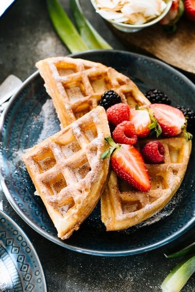 Cinnamon Sugar Sourdough Waffles | theclevercarrot.com