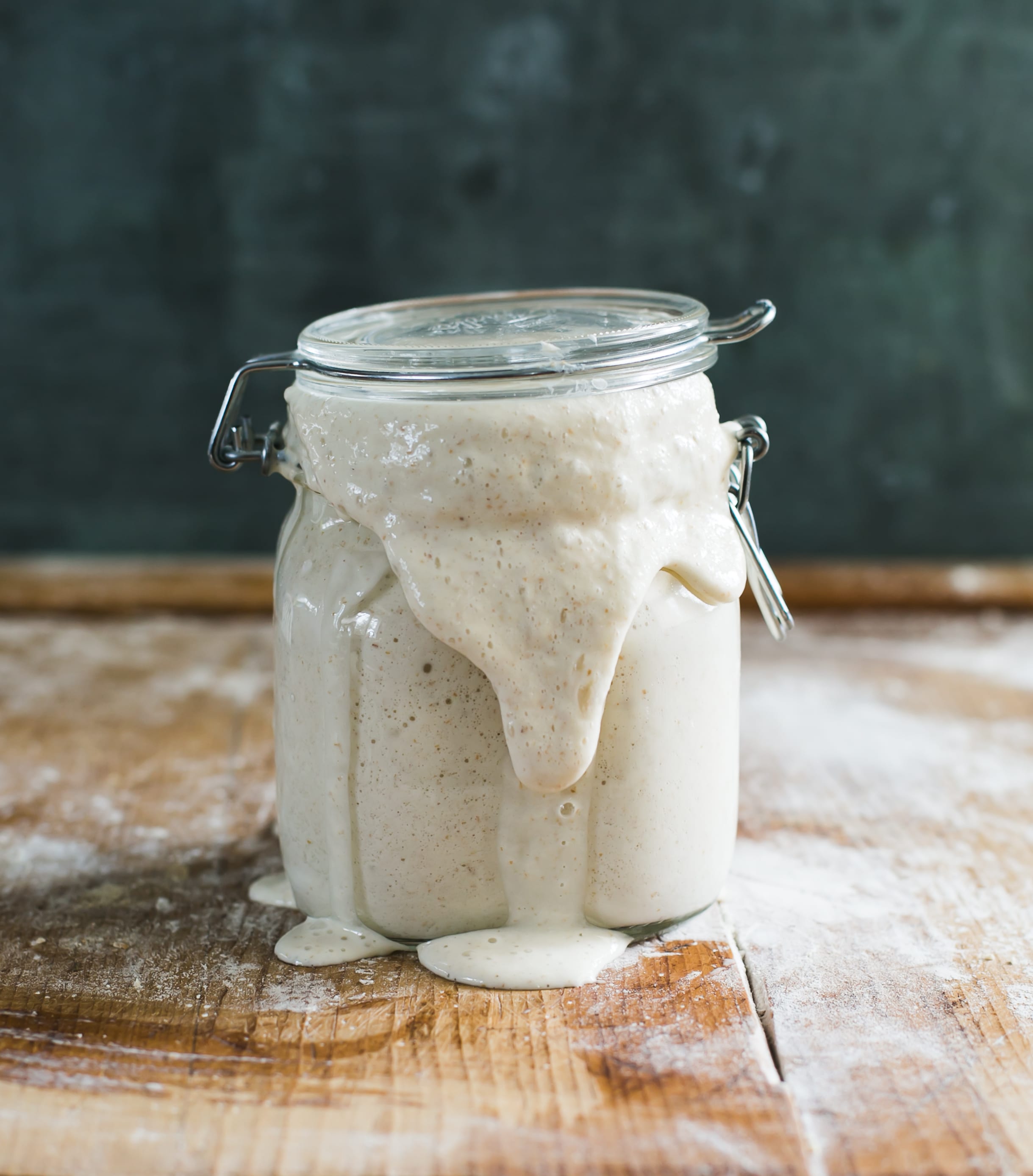 Troubleshooting Your Sourdough Starter - The Clever Carrot