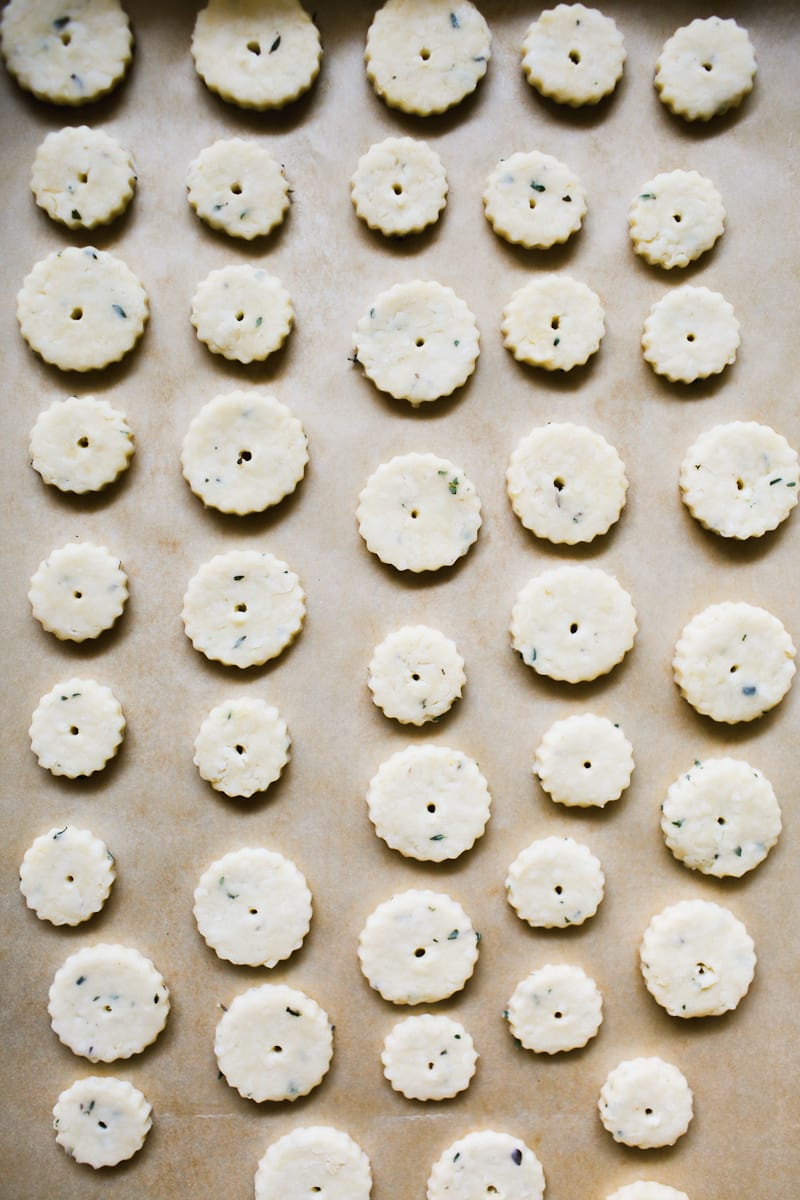 Round discs of cut out sourdough crackers dough with docked centers