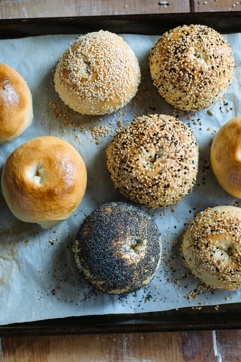 Tray of baked sourdough bagels