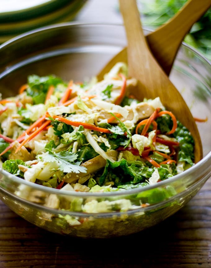 Bowl of shredded cabbage, carrots, sesame seeds, cilantro and dressing.