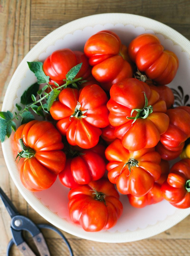 Italian Heirloom Tomatoes (Costoluto Fiorentino)