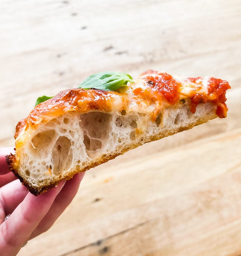 Crispy sourdough pizza crust (interior crumb)