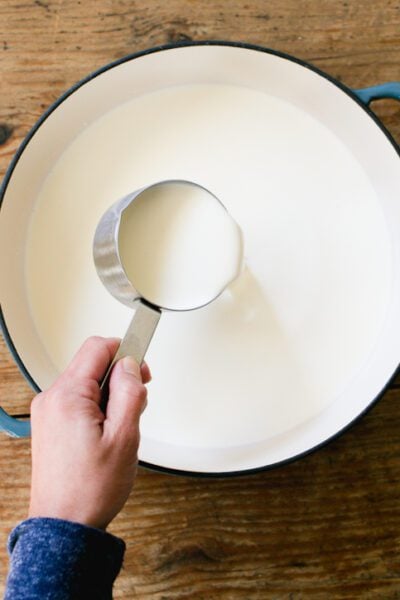 Milk and cream in a pot