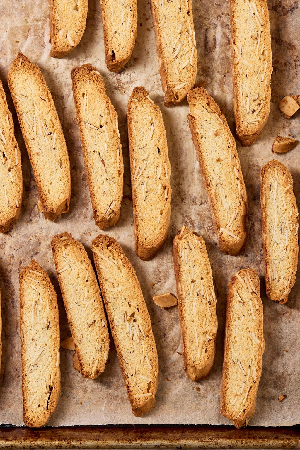 Sourdough biscotti on a parchment lined sheet pan.